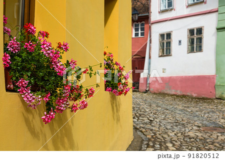 ルーマニア　トランシルヴァニア地方のシギショアラの歴史地区のカラフルな町並み 91820512