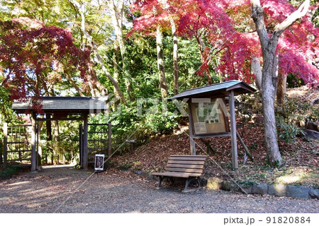 神奈川県立大磯城山公園 旧三井別邸地区の通雲門と紅葉 神奈川県立大磯城山公園 旧三井別邸地区の通雲門と紅葉 91820884