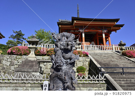 清水寺　浮雲青龍像と西門 91820975