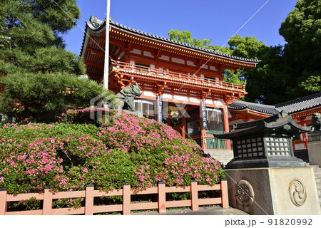 八坂神社 西楼門 サツキ 八坂神社 西楼門 サツキ 91820992