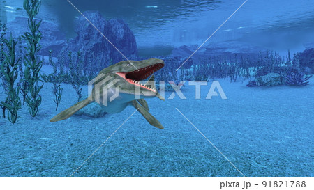 海洋生物 91821788