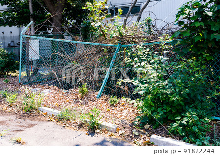 月極駐車場で高齢車ドライバーによるアクセルとブレーキの踏み間違い事故 月極駐車場で高齢車ドライバーによるアクセルとブレーキの踏み間違い事故 91822244