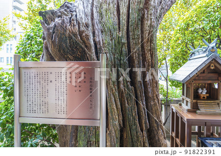 市杵島姫命【茨住吉神社 大阪市西区九条】 市杵島姫命【茨住吉神社 大阪市西区九条】 91822391