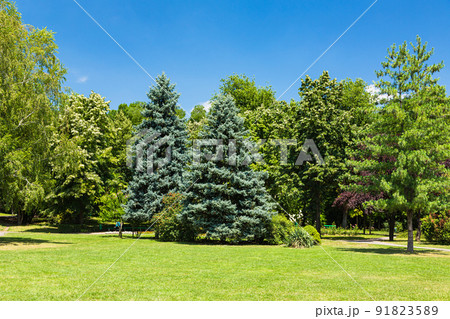 ルーマニア トランシルヴァニア地方のティミショアラのボタニック・パーク ルーマニア トランシルヴァニア地方のティミショアラのボタニック・パーク 91823589