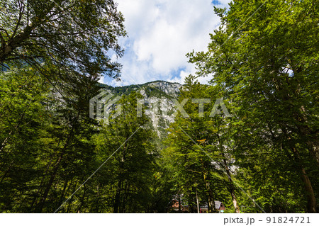 スロベニア　ボーヒニのサヴァイツア滝付近の風景 91824721