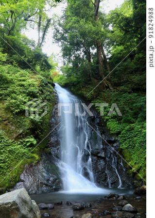 〔福井県福井市・7月〕一乗滝の水の糸　佐々木小次郎ゆかりの地 91824988