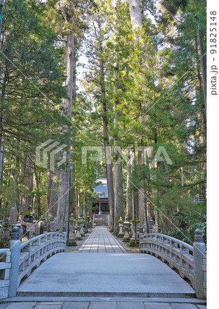 【高野山 奥の院 御廟橋】 和歌山県伊都郡高野町高野山 【高野山 奥の院 御廟橋】 和歌山県伊都郡高野町高野山 91825148