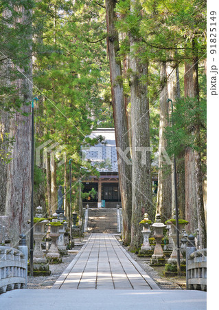 【高野山 奥の院 御廟橋】 和歌山県伊都郡高野町高野山 91825149