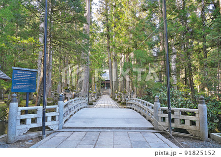 【高野山 奥の院 御廟橋】 和歌山県伊都郡高野町高野山 91825152