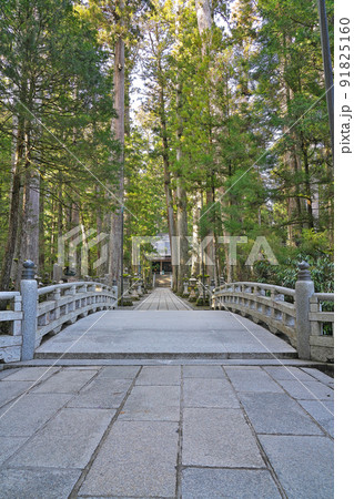 【高野山 奥の院 御廟橋】 和歌山県伊都郡高野町高野山 【高野山 奥の院 御廟橋】 和歌山県伊都郡高野町高野山 91825160