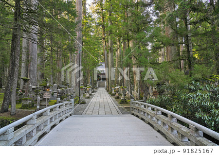 【高野山 奥の院 御廟橋】 和歌山県伊都郡高野町高野山 【高野山 奥の院 御廟橋】 和歌山県伊都郡高野町高野山 91825167