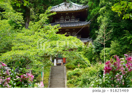 大和松尾寺・厄除霊場・百合の花 91825469