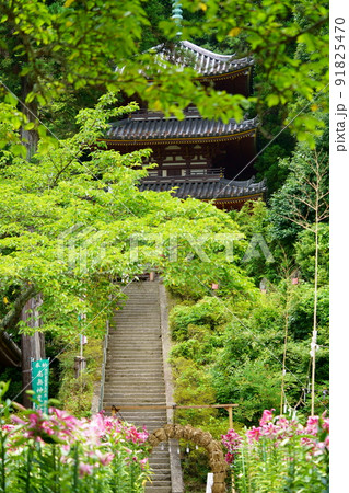 大和松尾寺・厄除霊場・百合の花 91825470