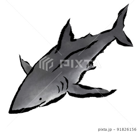 水墨画風ホホジロザメのイラスト素材 [91826156] - PIXTA