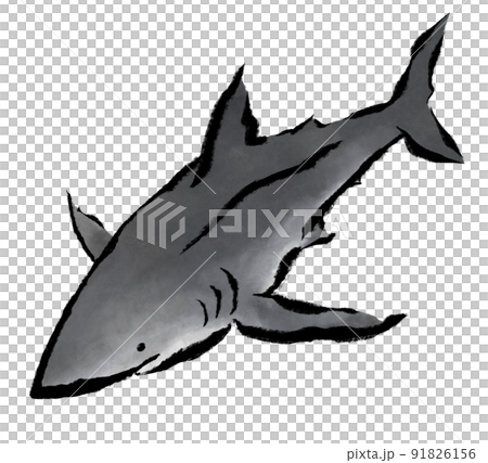 水墨画風ホホジロザメのイラスト素材 [91826156] - PIXTA