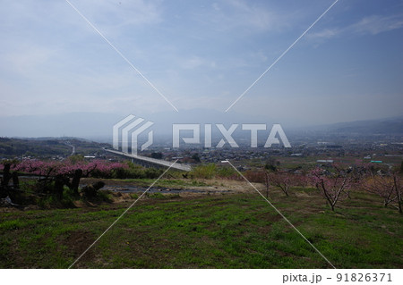 山梨県笛吹市の花鳥山展望台から見るリニア実験線と桃の花の春の風景 91826371