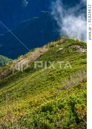 初夏の小仙丈ヶ岳 91826612