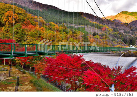 板室 板室 91827263