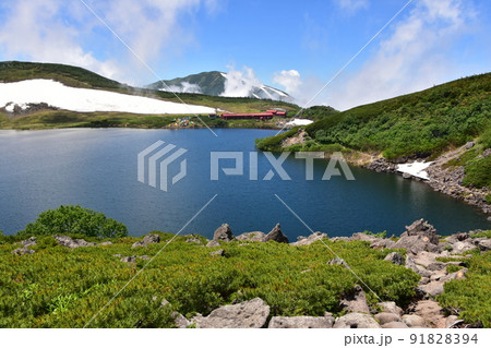 白馬大池 91828394