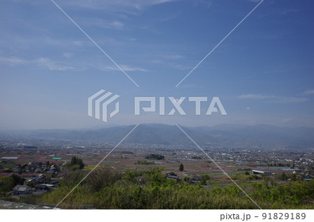 山梨県笛吹市の花鳥山一本杉公園から見た桃の花が咲く春の風景 91829189