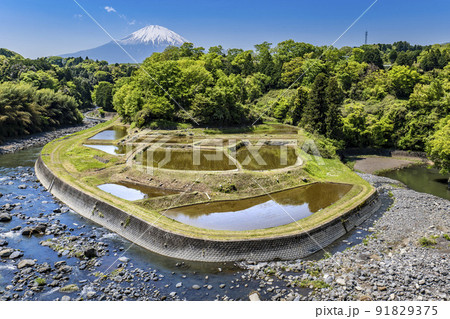 静岡県小山町、川の中の棚田と残雪の富士山 静岡県小山町、川の中の棚田と残雪の富士山 91829375