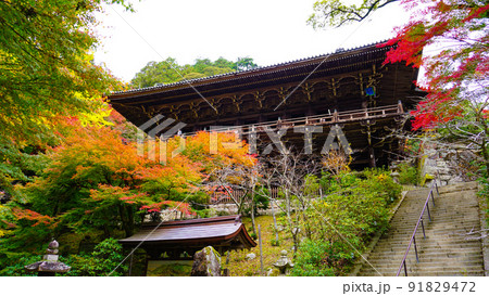 秋の紅葉と書寫山圓教寺 秋の紅葉と書寫山圓教寺 91829472