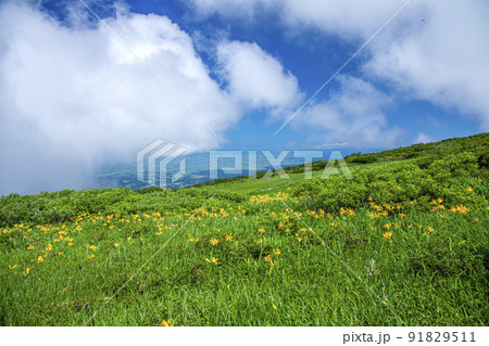 月山弥陀ヶ原 月山弥陀ヶ原 91829511