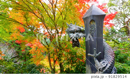 秋の紅葉と書寫山圓教寺 秋の紅葉と書寫山圓教寺 91829514