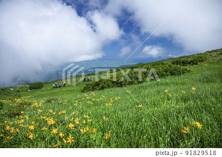 月山弥陀ヶ原 月山弥陀ヶ原 91829518
