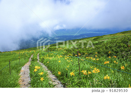 月山弥陀ヶ原 月山弥陀ヶ原 91829530