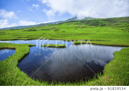 月山弥陀ヶ原 月山弥陀ヶ原 91829534