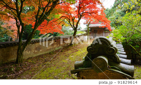 秋の紅葉と書寫山圓教寺 91829614