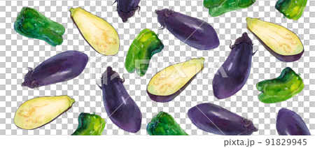Watercolor illustration of summer vegetables 91829945