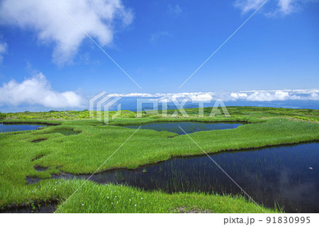 月山弥陀ヶ原 91830995
