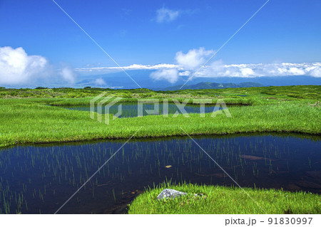 月山弥陀ヶ原 月山弥陀ヶ原 91830997