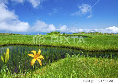 月山弥陀ヶ原 月山弥陀ヶ原 91831001