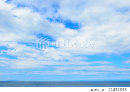 三浦半島　荒崎リアス式海岸の風景 91831348