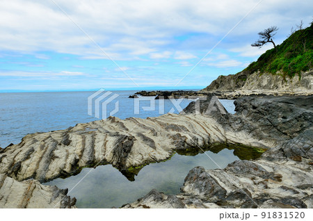 三浦半島 荒崎リアス式海岸の風景 三浦半島 荒崎リアス式海岸の風景 91831520