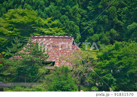 【社会問題】山村のトタン屋根の空家2 91831570
