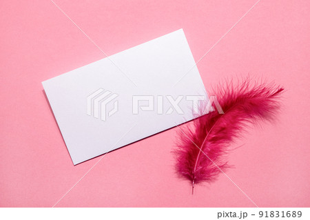 Blank card and vintage mail envelope on pink background with pink feather, top view, copy space. Love letter, romantic message. Card for Mother day, birthday, valentines day Blank card and vintage mail envelope on pink background with pink feather, top view, copy space. Love letter, romantic message. Card for Mother day, birthday, valentines day 91831689