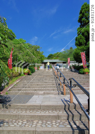 四季折々の植物が楽しめる北九州市門司区の白野江植物公園 91831726