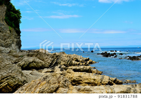 三浦半島　荒崎リアス式海岸の風景 91831788