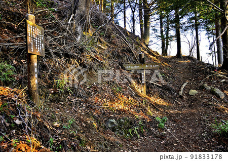 丹沢の大山三峰山 大山三峰縦走コース 物見峠分岐の休憩所 丹沢の大山三峰山 大山三峰縦走コース 物見峠分岐の休憩所 91833178