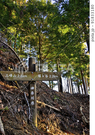 丹沢の大山三峰山　大山三峰縦走コース　物見峠分岐の休憩所 91833180