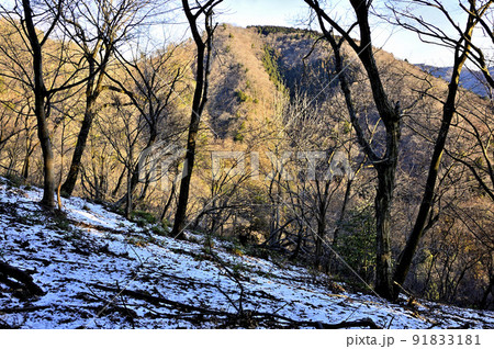 丹沢の大山三峰山より雪の山地に朝日の辺室山 丹沢の大山三峰山より雪の山地に朝日の辺室山 91833181