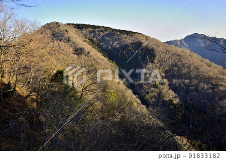 丹沢の大山三峰山より朝日の辺室山 丹沢の大山三峰山より朝日の辺室山 91833182
