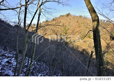 丹沢の大山三峰山より雪の山地に朝日の能ノ爪（熊ノ爪） 91833185