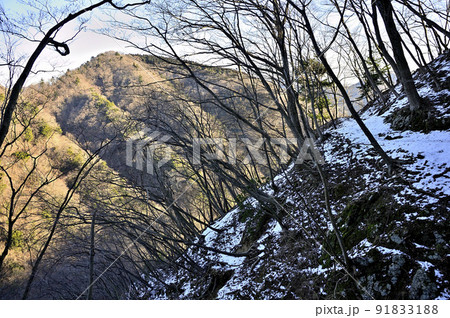 丹沢の大山三峰山　雪の山地に朝日の辺室山を望む 91833188