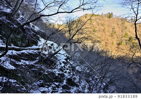 丹沢の大山三峰山 雪の崩落地を通る登山道より能ノ爪(熊ノ爪)を眺める 丹沢の大山三峰山 雪の崩落地を通る登山道より能ノ爪(熊ノ爪)を眺める 91833189