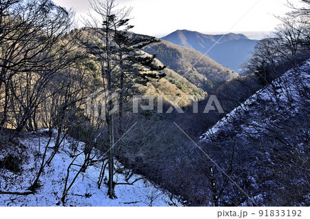 丹沢の物見峠より辺室山、華厳山、萩野高取山 丹沢の物見峠より辺室山、華厳山、萩野高取山 91833192